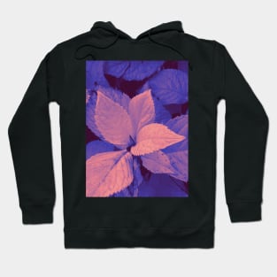 Photo of leaves in a pink and purple gradient Hoodie